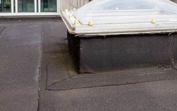 disadvantages of Edmondbyers flat roofs