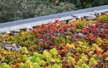 the cost of Edmondbyers green roof installation