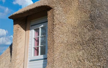 Edmondbyers thatch roof disadvantages